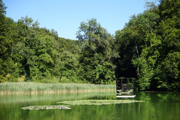 Lake in the park near Dornach — Stock Photo, Image