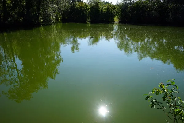 Lake in het park in de buurt van Dornach — Stockfoto