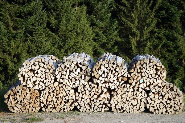 Skladování dříví v lese ve Švýcarsku — Stock fotografie