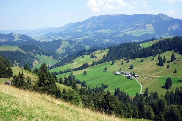 Зелені пагорби в долині в сільській місцевості — стокове фото