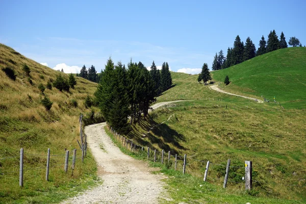 Polní cesta a zelené trávy na kopcích — Stock fotografie