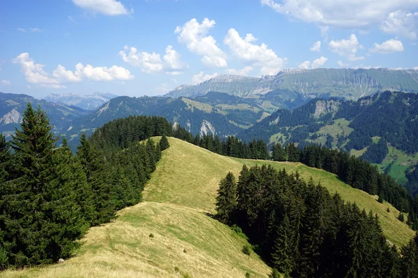Völgy vidék a zöld dombjain — Stock Fotó