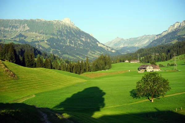 Vale verde na área de montanha na Suíça — Fotografia de Stock