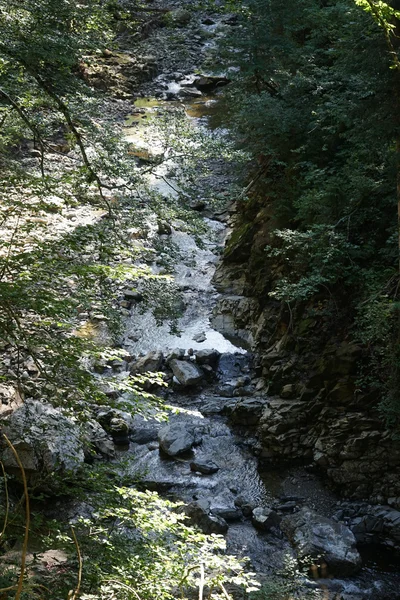 Pequeño río forestal en barranco — Foto de Stock