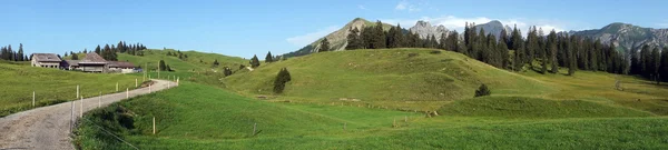 Panorama di pascolo verde — Foto Stock