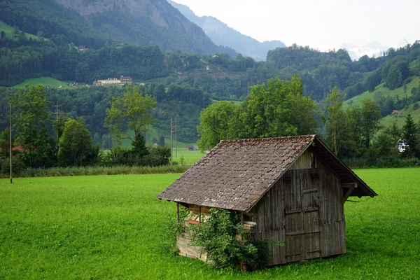 Dřevěná bouda na zelené pastviny — Stock fotografie