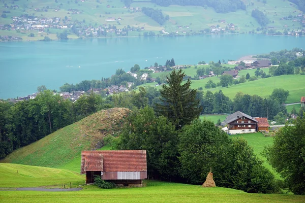 Auf dem See — Stockfoto