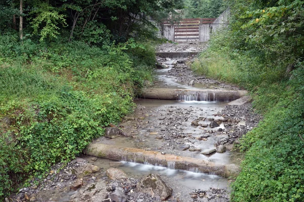 Small river in the forest — Stock Photo, Image