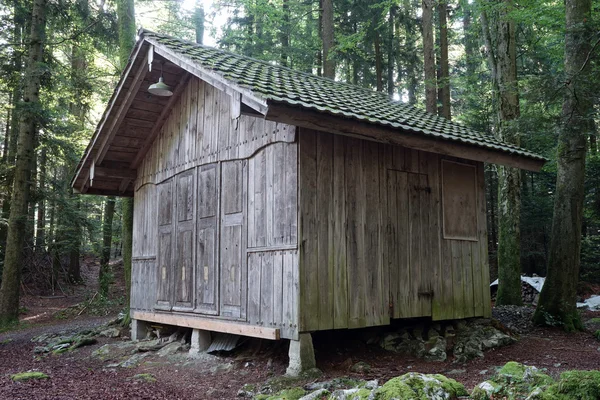 Capannone in legno nella pineta — Foto Stock