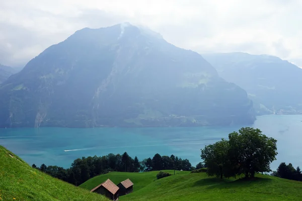 Cobertizos en la ladera de la colina cerca del lago Lucerna en Suiza — Foto de Stock