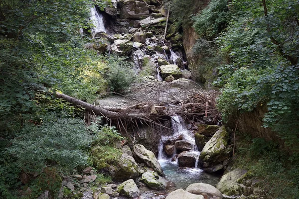 Piccolo fiume nella foresta in Svizzera — Foto Stock