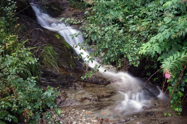 Glatter kleiner Fluss — Stockfoto