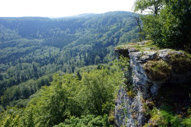 Rock kenar ve yeşil orman