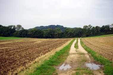 Toprak yol ve sürülmüş alan