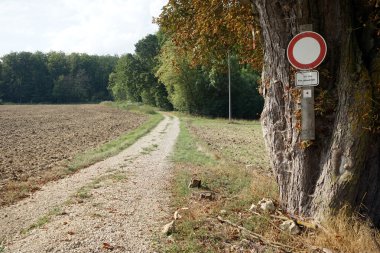Yol işaret ve ağaç üzerinde