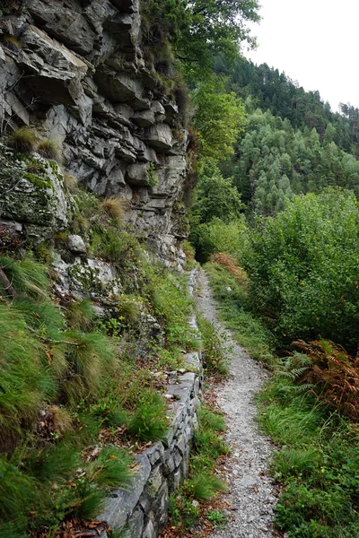 Sentier près du rocher — Photo