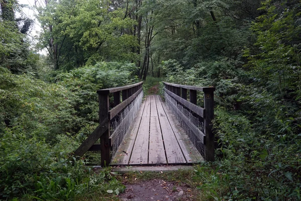 Walking wooden bridge — Stock Photo, Image