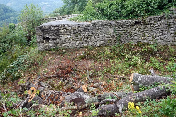 Stenmur i Ruine Grefenstein — Stockfoto