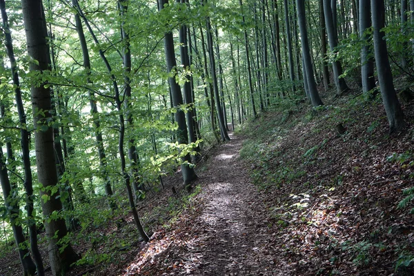 Hiking train Albsteig — Stock Photo, Image