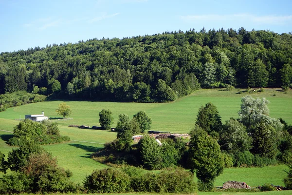 Green valley with farm fields — Stock Photo, Image