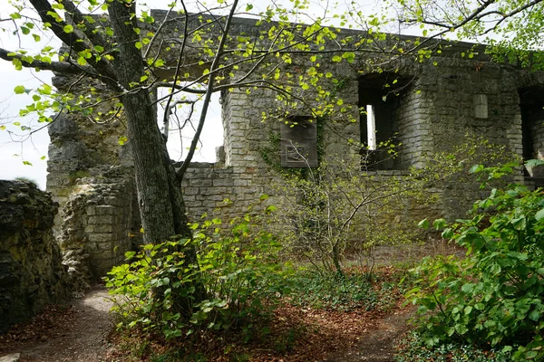 Burgmauer der Burg Rossenstein — Stockfoto