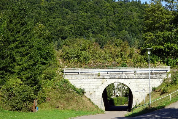 Taş kemer köprü ve orman — Stok fotoğraf