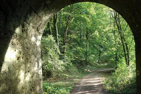 Tunel κάτω από σιδηροδρομική — Φωτογραφία Αρχείου