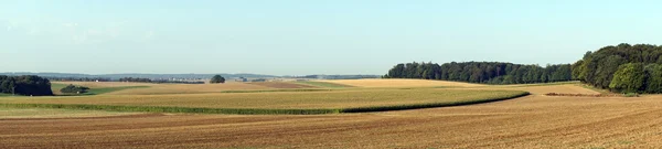 Panorama van boerderij velden — Stockfoto