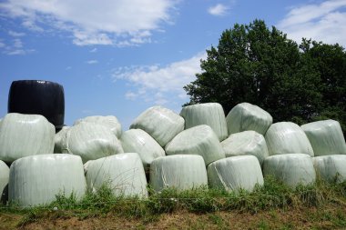 Haystacks Fransa sahada plastik kapaklı