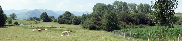 Pyrenäen-Panorama — Stockfoto