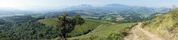 Grusväg och kullar i Pyrenee — Stockfoto