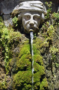Taş kafa ve Çeşmesi