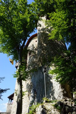 Domeck Kalesi ve ağaç