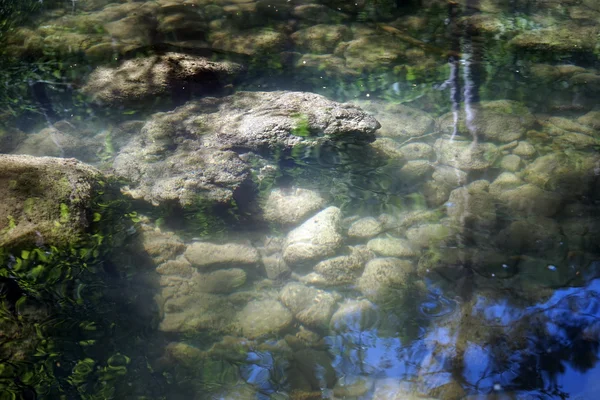 Odrazy na povrchu Lesní řeky — Stock fotografie