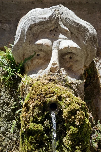 Cabeza de piedra y fuente —  Fotos de Stock