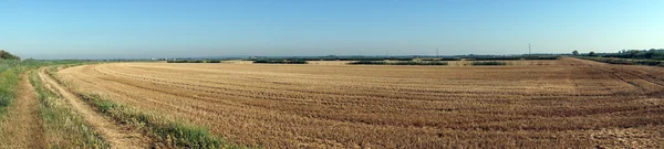 Panorama av stubb fält i gård — Stockfoto