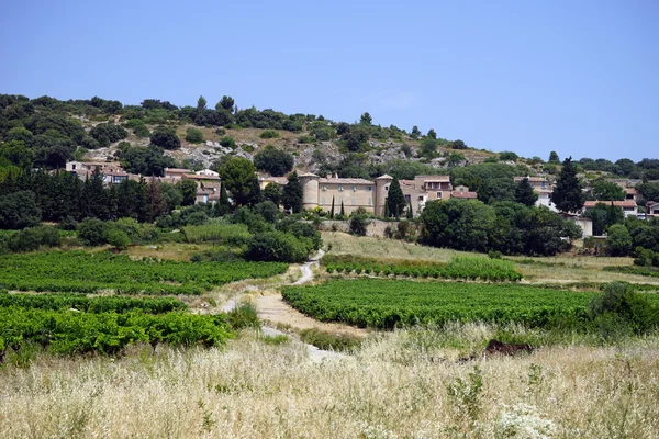 Wijngaard in de buurt van Arboras — Stockfoto