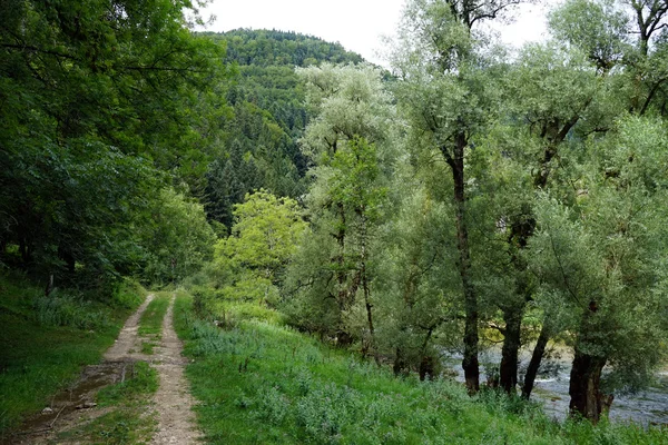 跟踪和河 — 图库照片