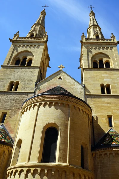 Stiftskirche in Neuchatel — Stockfoto