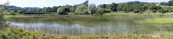 Lago longo e grama — Fotografia de Stock