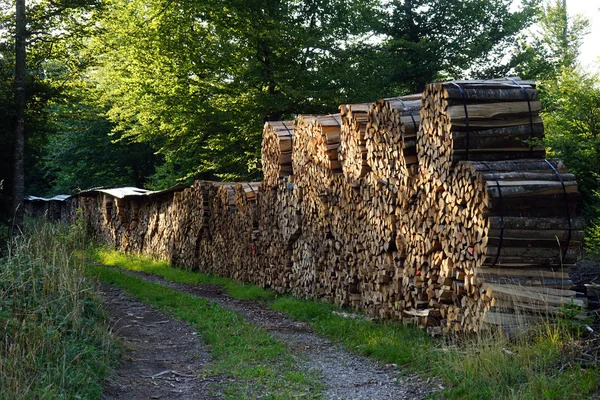 Spår och ved — Stockfoto