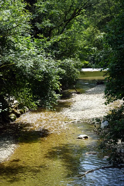 Pequeño río y bosque — Foto de Stock