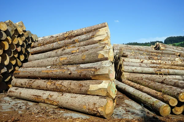 Dřevo haldách blízko továrny — Stock fotografie