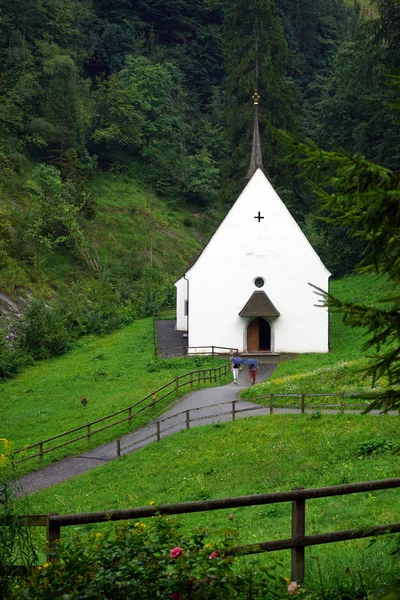 교회 및 숲 — 스톡 사진