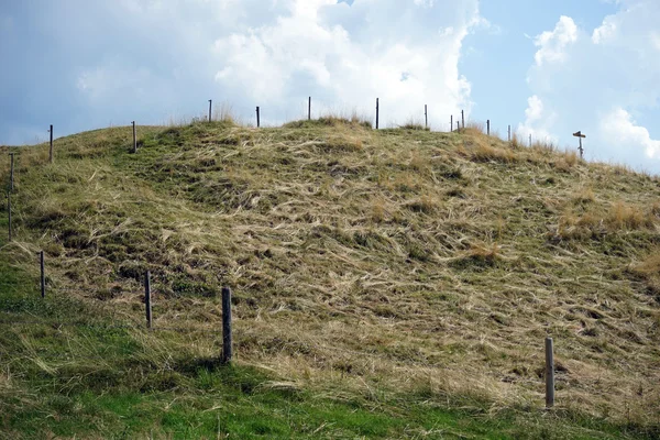 Grasland en hill — Stockfoto