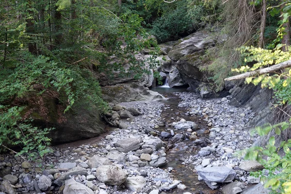 Forest river in mountain — Stock Photo, Image