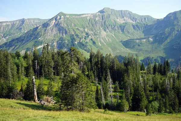 Granar i berg — Stockfoto