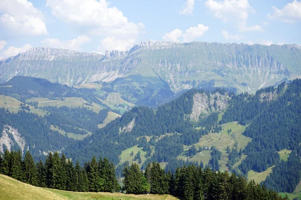 Vallée verte en montagne — Photo