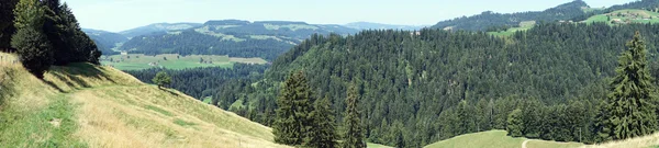 Yeşil tepeler ve orman — Stok fotoğraf