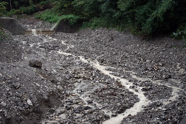 Kleine rivier en bos — Stockfoto